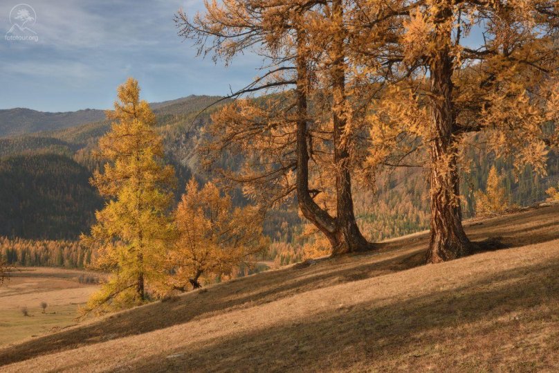 Осенний Алтай