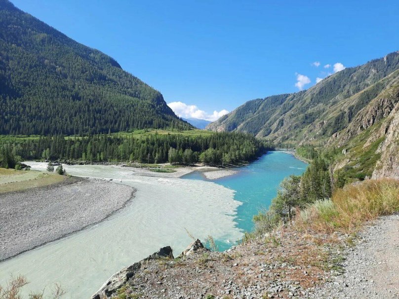 Река Аргут горный Алтай