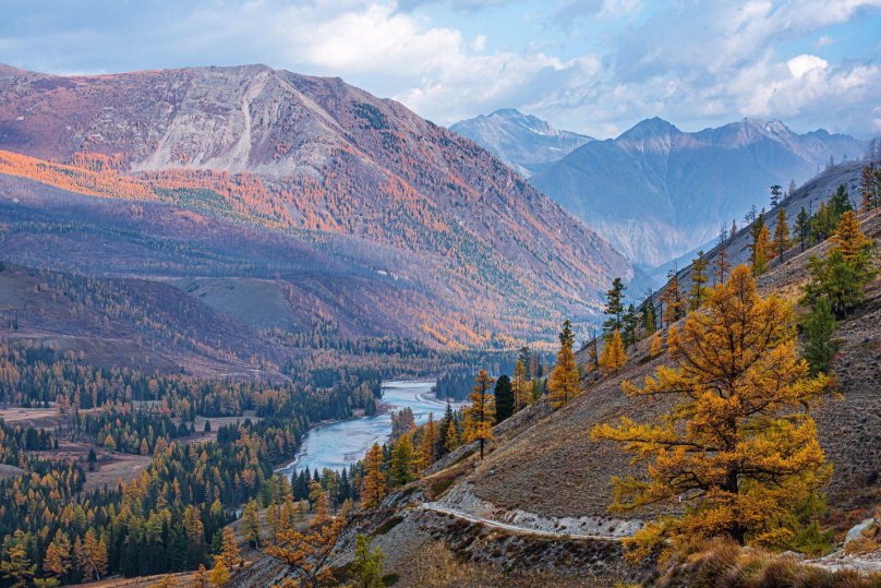 Река Аргут горный Алтай