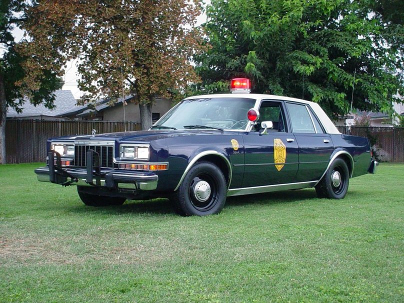 Dodge Diplomat 1989