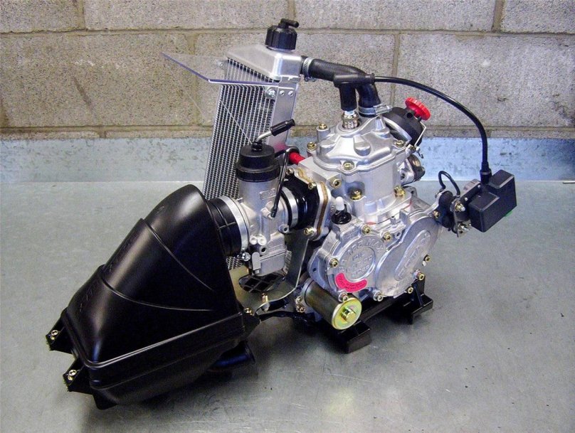 Двигатель Rotax 125 Max