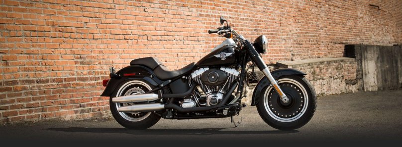 Harley Davidson Fatboy Special