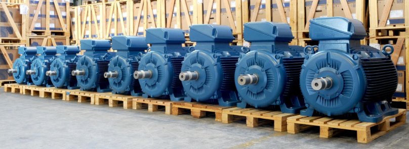 Weg w22 электродвигатели