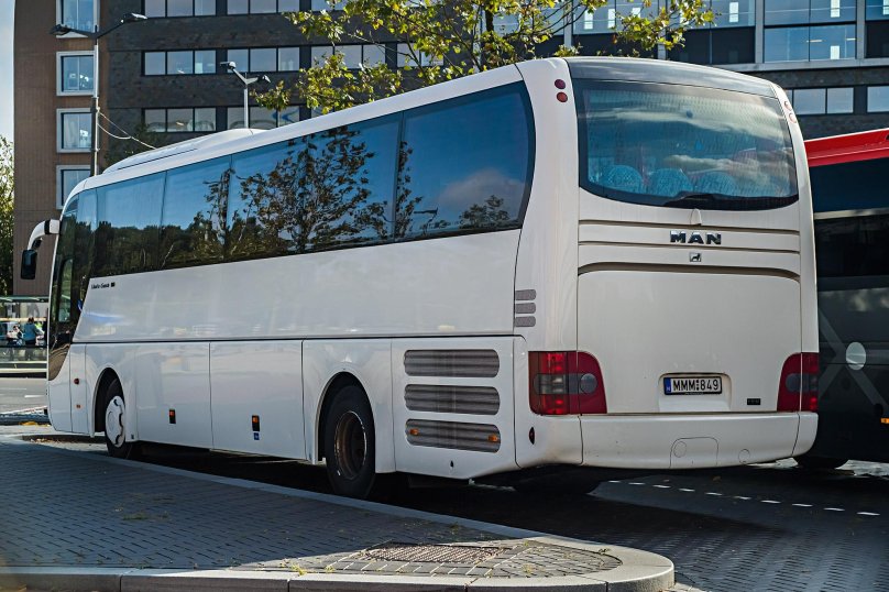 Ман Lion's coach 2021