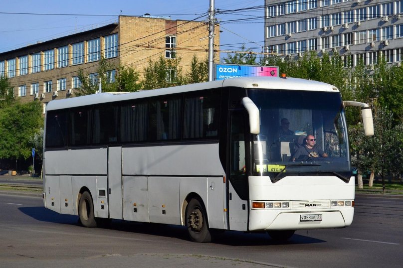 Man a13 Lion's coach