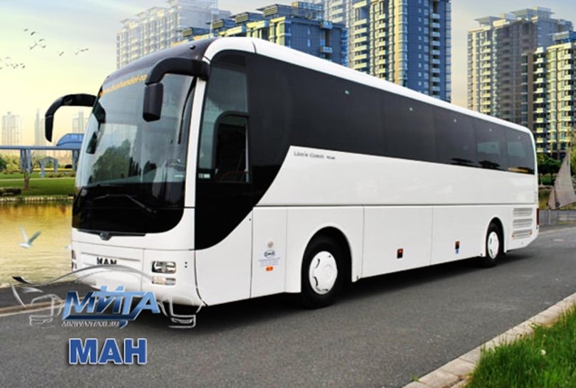Ман 50 автобус