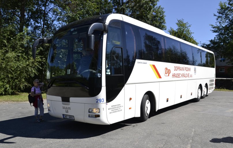 Man Lions coach 2012