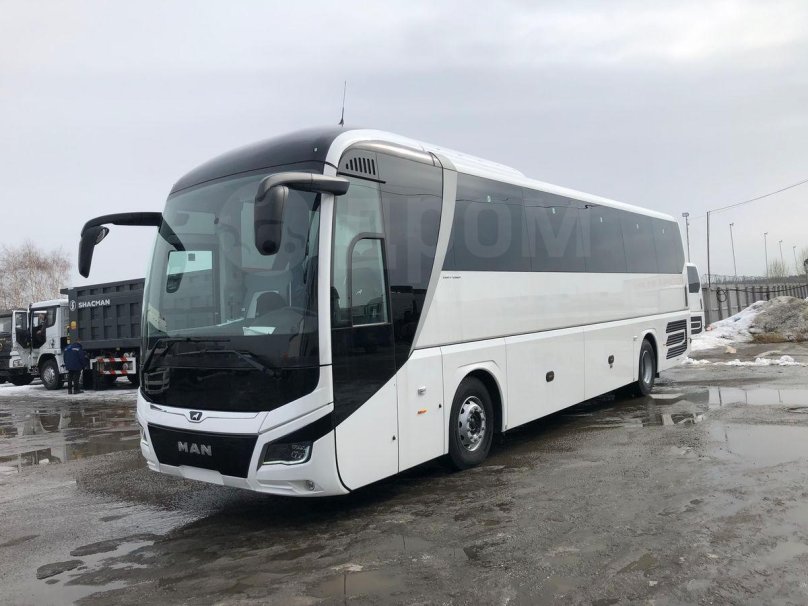 Ман Lion's coach 2021