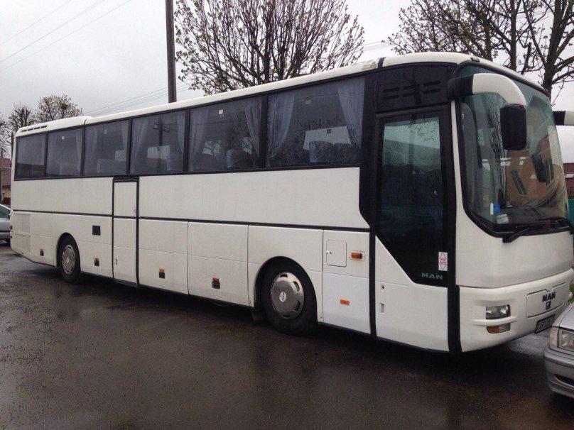 Автобус ман 49 мест