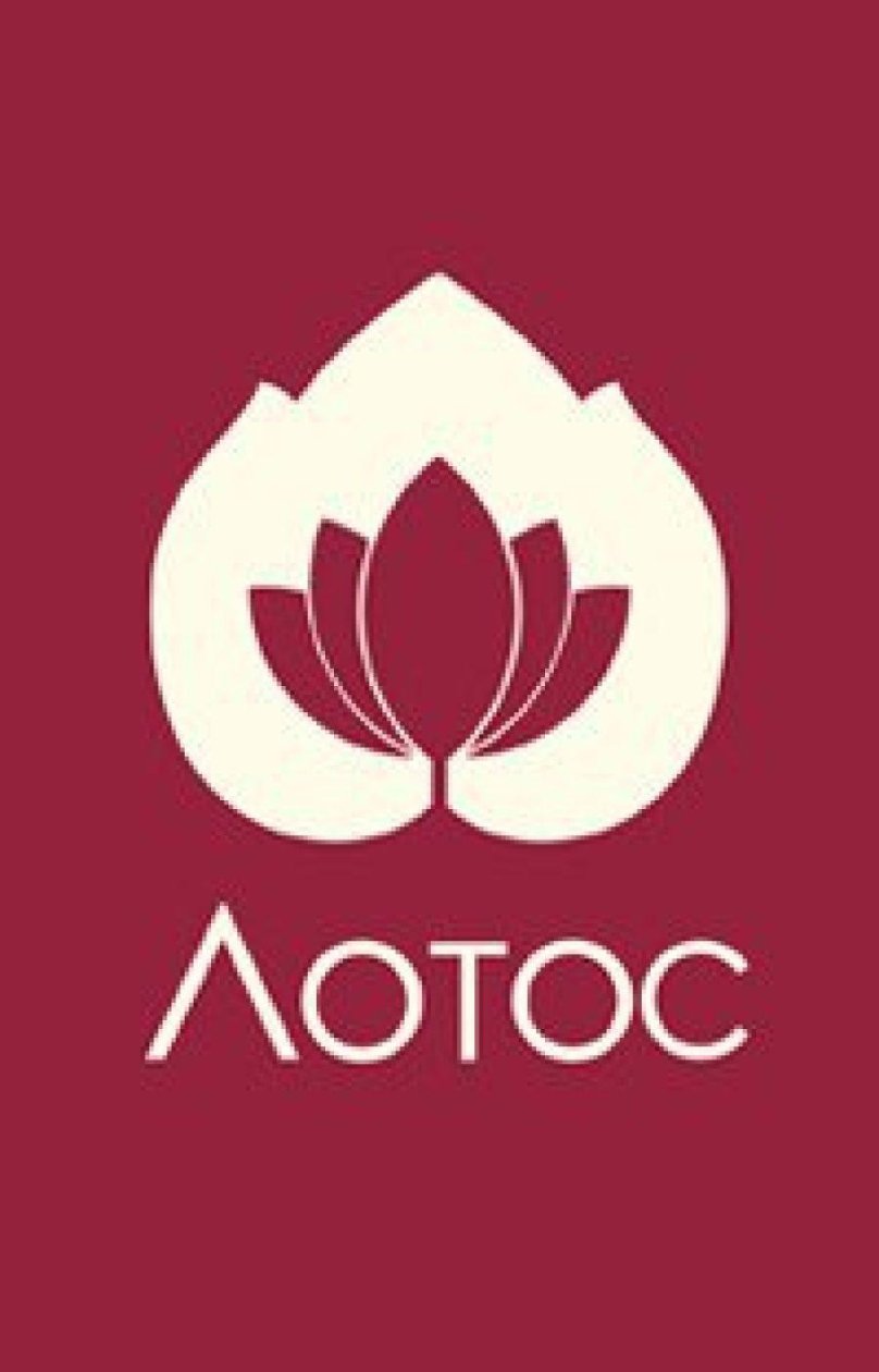 Лотос Еманжелинск медицинский центр