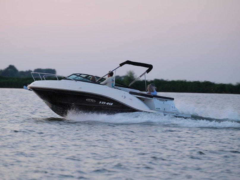 Катер сиа Рей 230