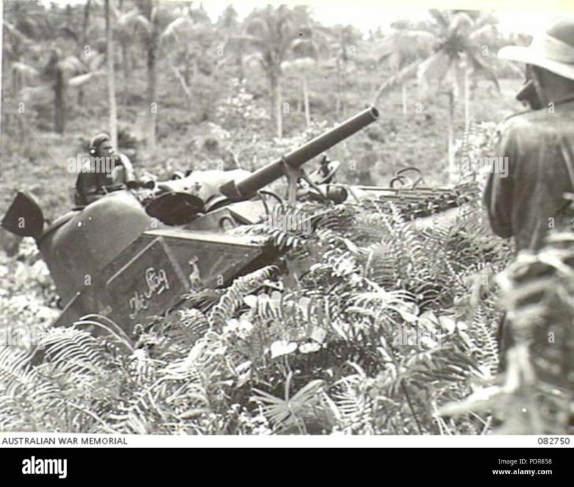 Шерман по ленд Лизу