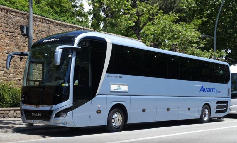 Ман Лион коуч 2018