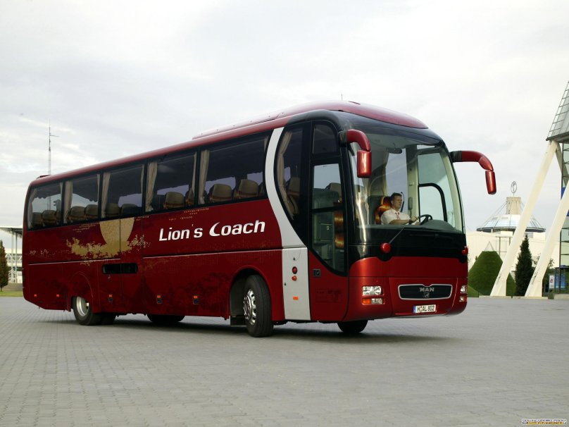 Man Lion's coach 2008