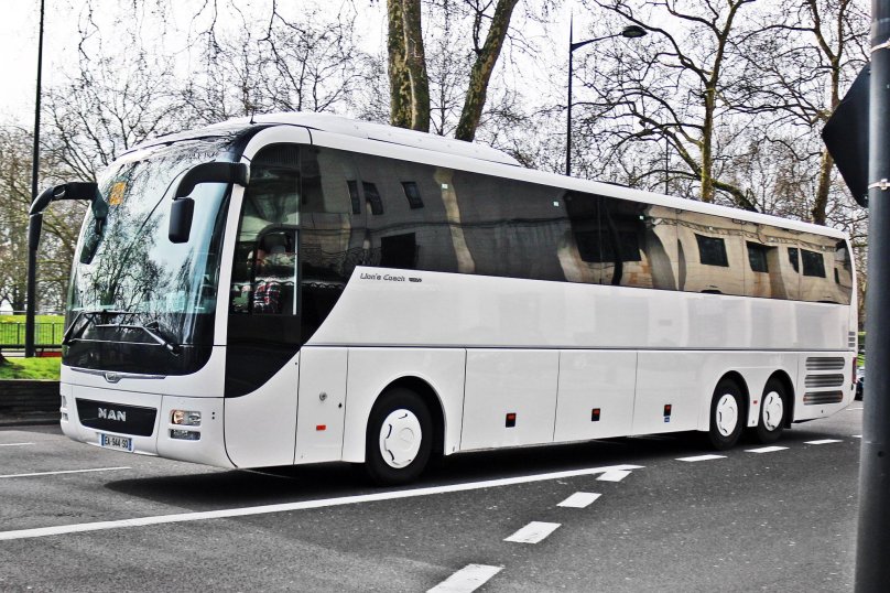 Ман Lion s coach 2019