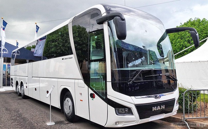 Man Lion's coach r08 2020