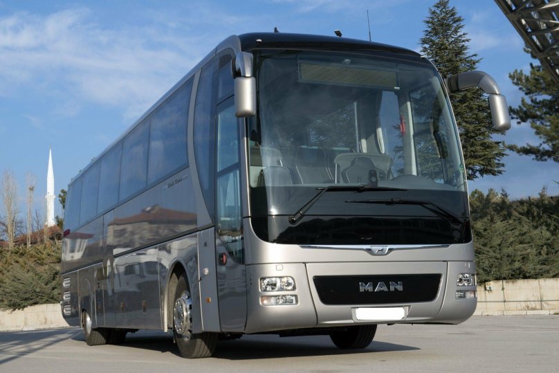 Man Lions coach 2012