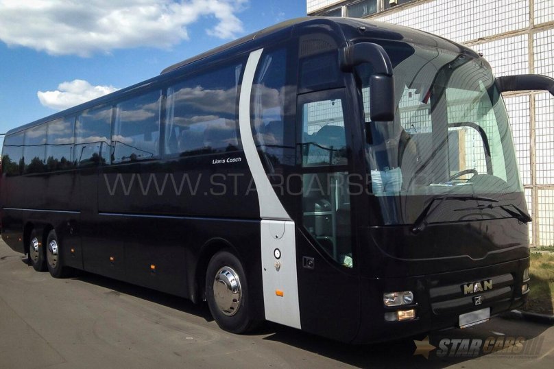 Man Lion's coach 2023