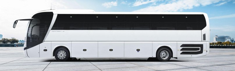 Ман Лионс коуч