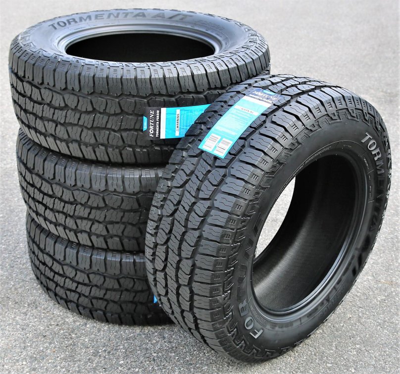 Автомобильная шина Fortuna ECOPLUS van 4s 215/65 r16 109t всесезонная