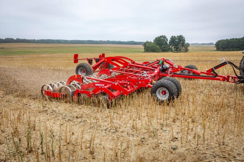 Хорш Джокер