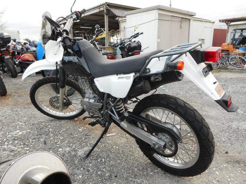 Suzuki dr200 Djebel