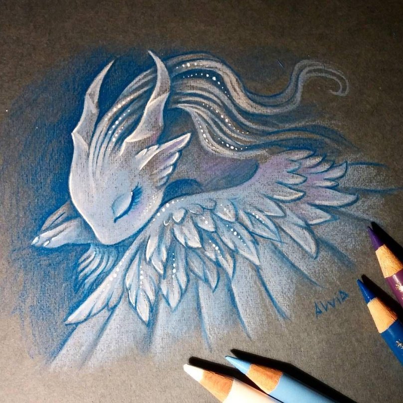 Alvia Alcedo драконы