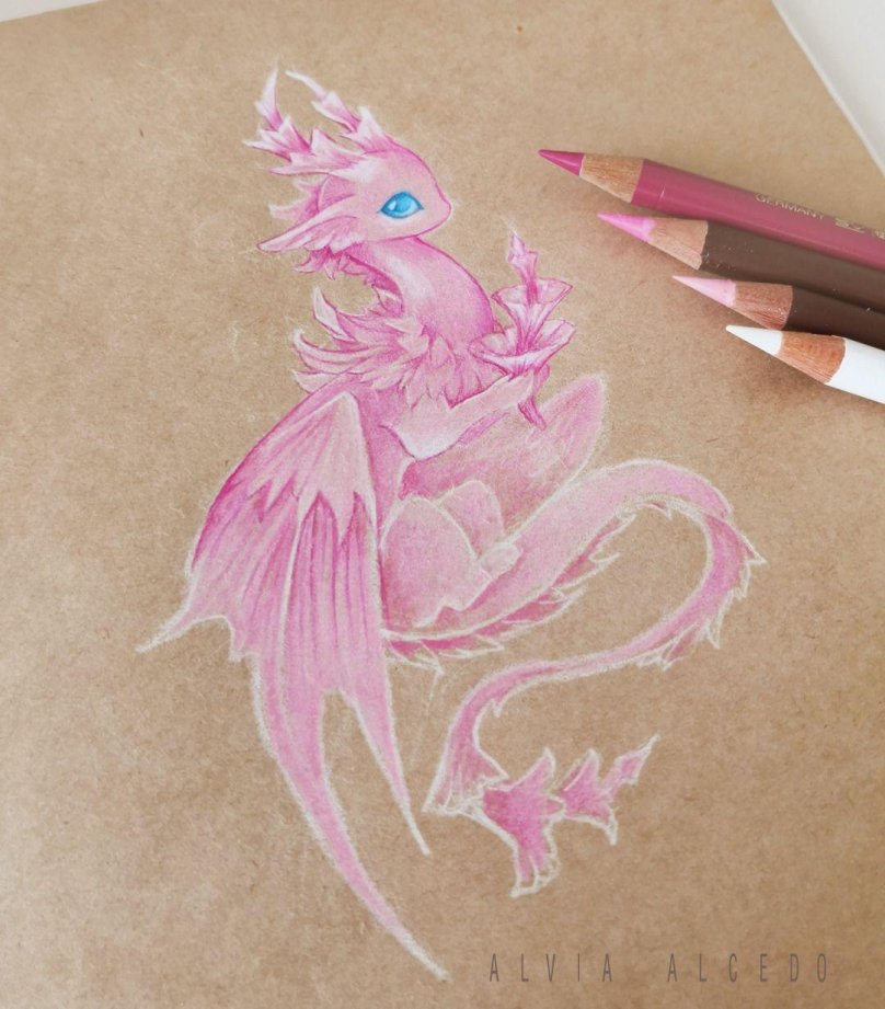 Идеи розовых драконов