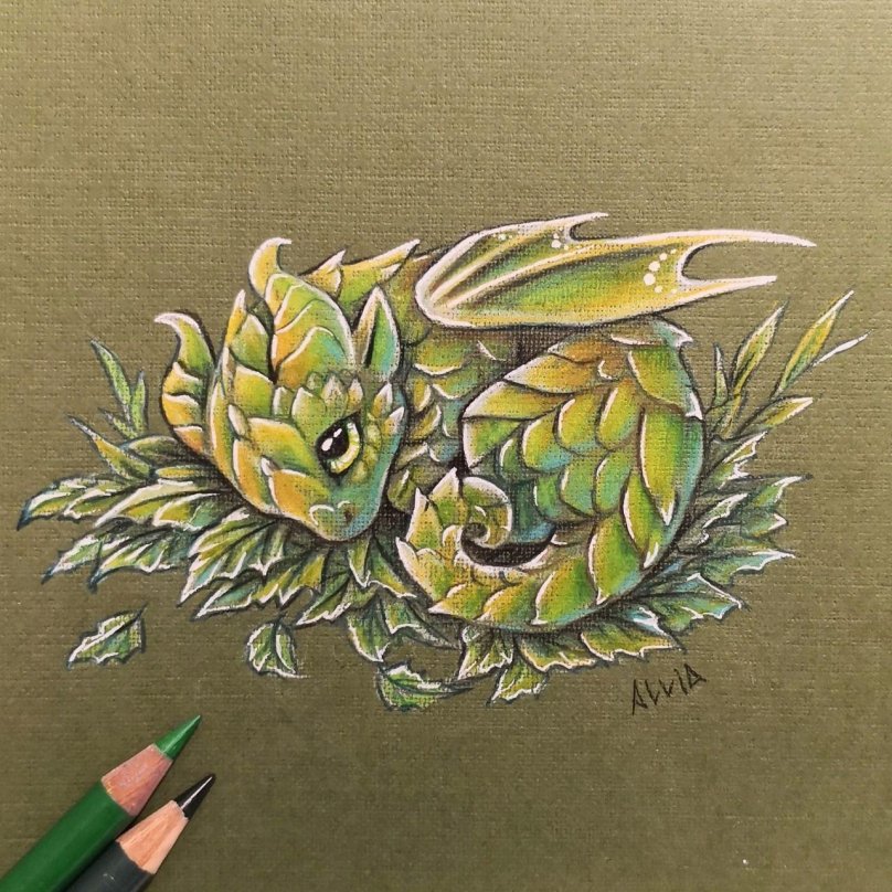 Alvia драконы