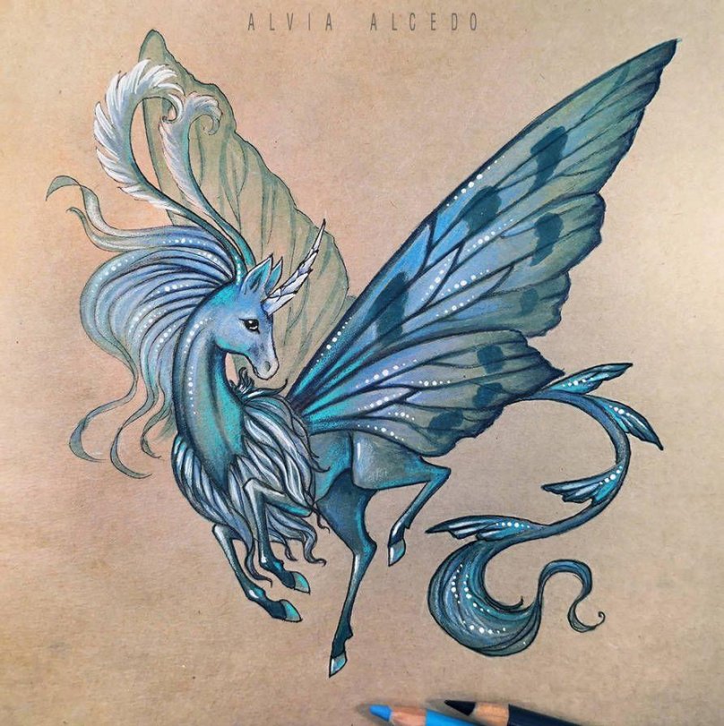 Alvia Alcedo animals drawing