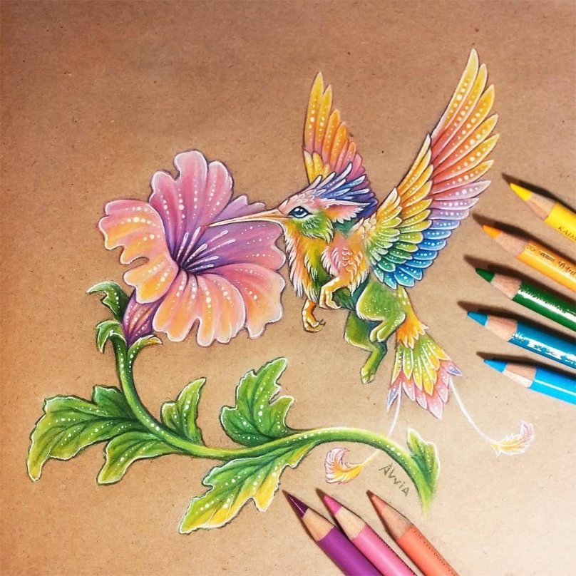 Alvia Alcedo Грифоны