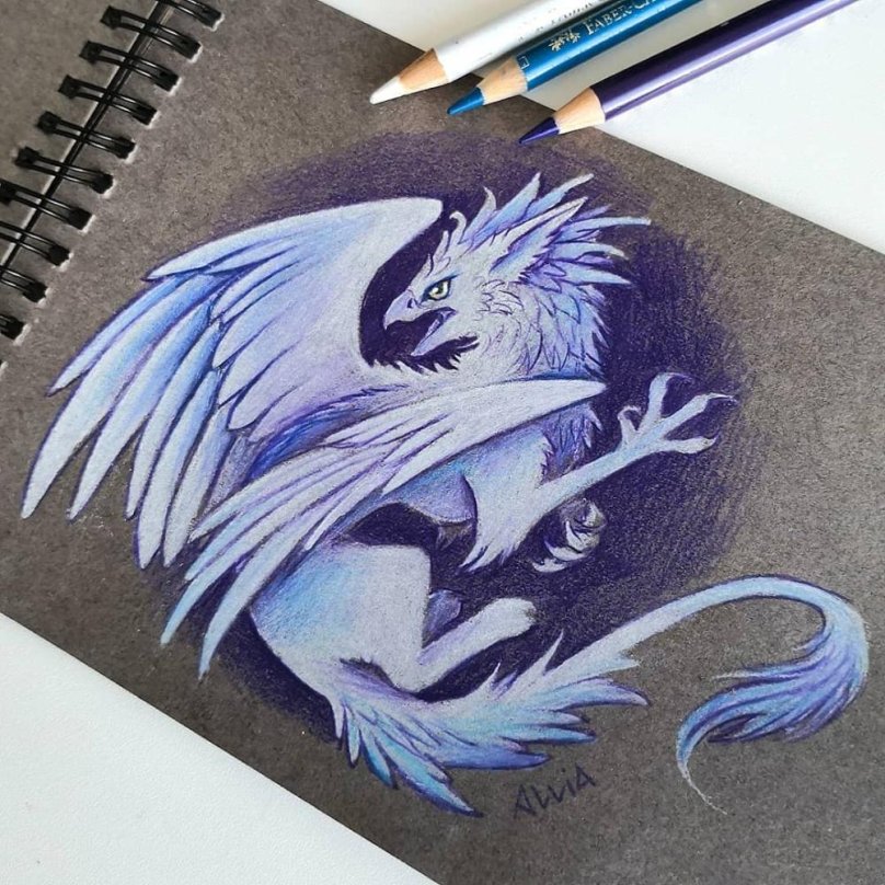 Alvia Alcedo птицы