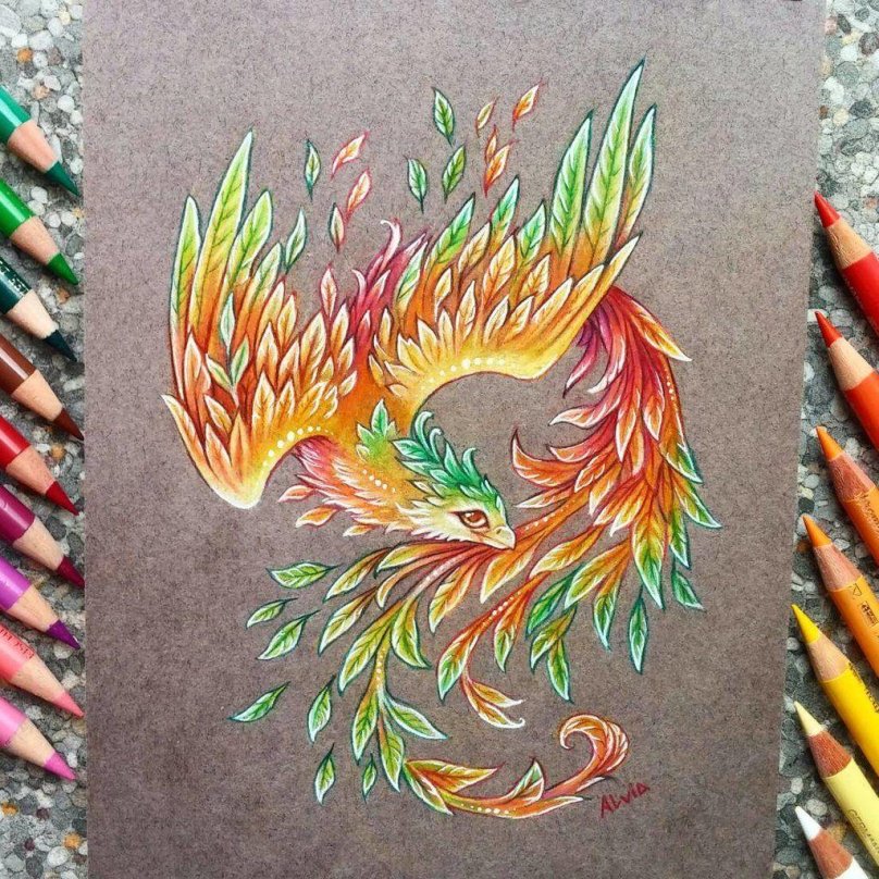 Alvia Alcedo Феникс