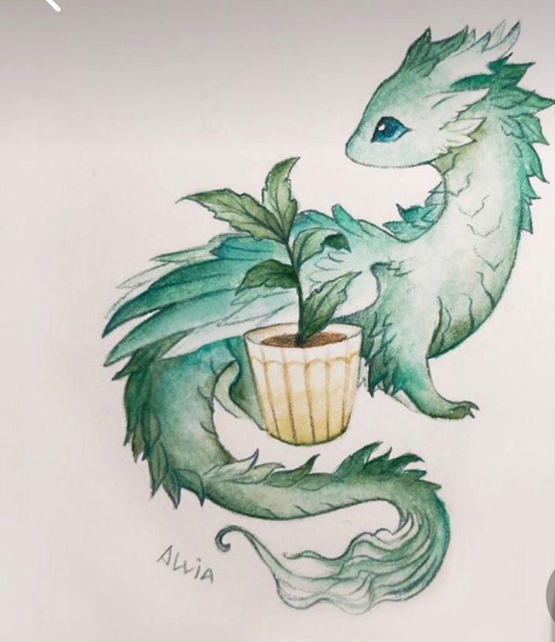 Дракон акварелью Alvia Alcedo