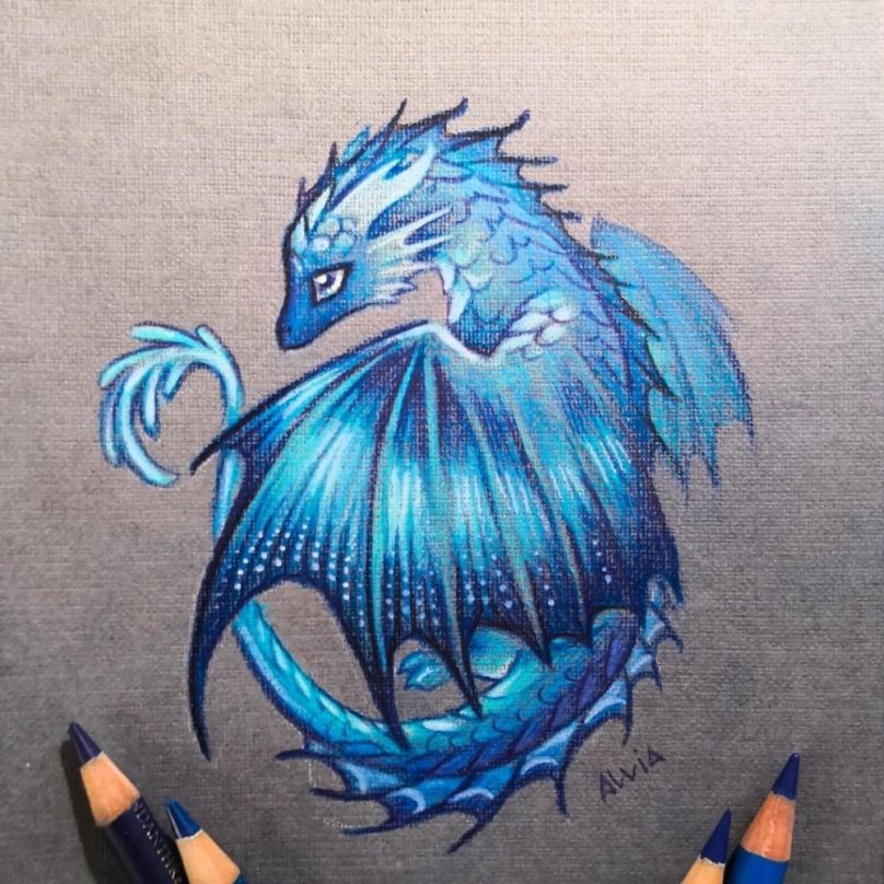 Alvia Alcedo голубой дракон
