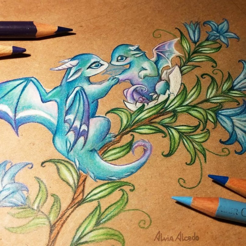 Alvia Alcedo рисунки