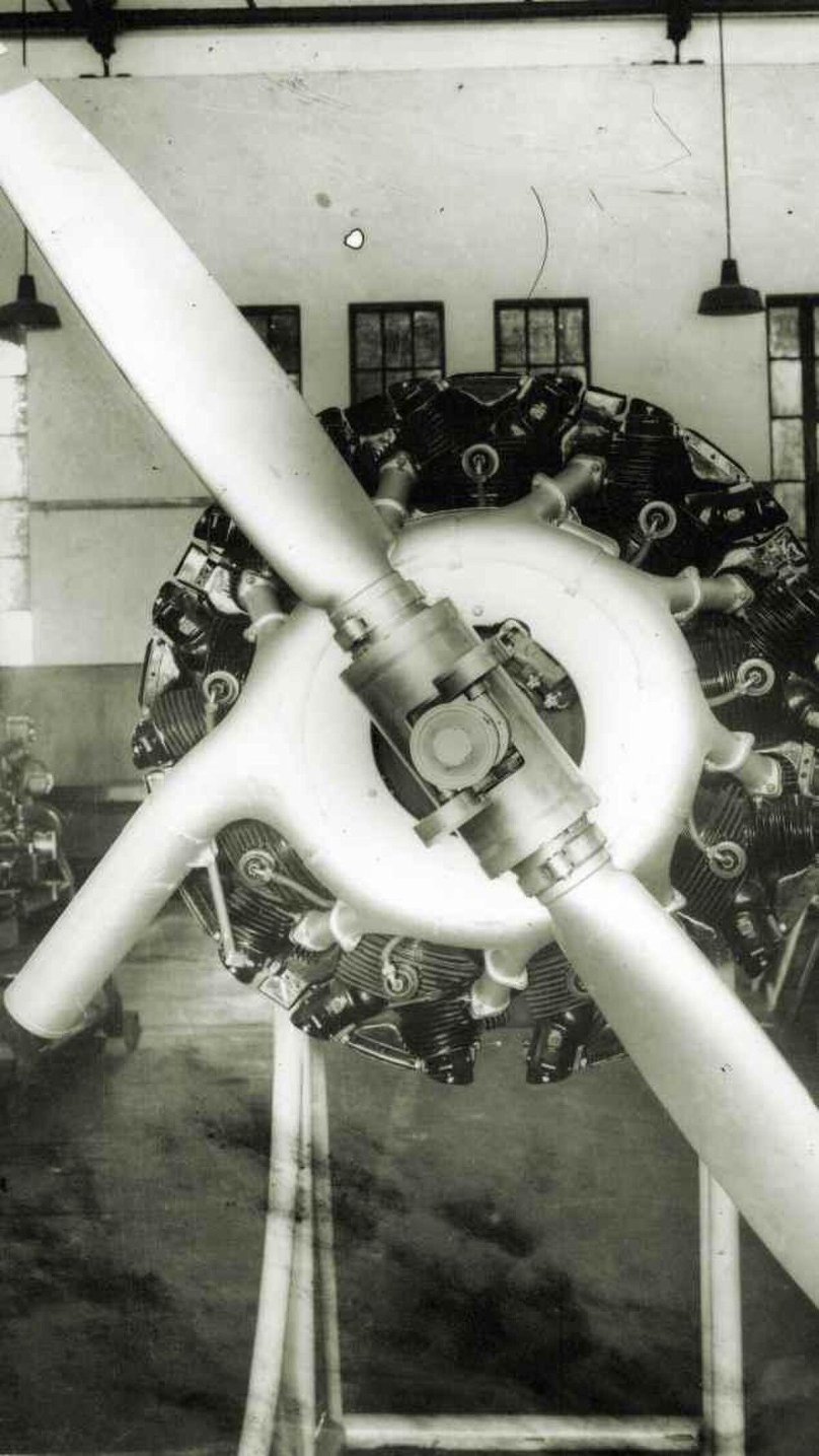 FMA I.AE. 38 Naranjero