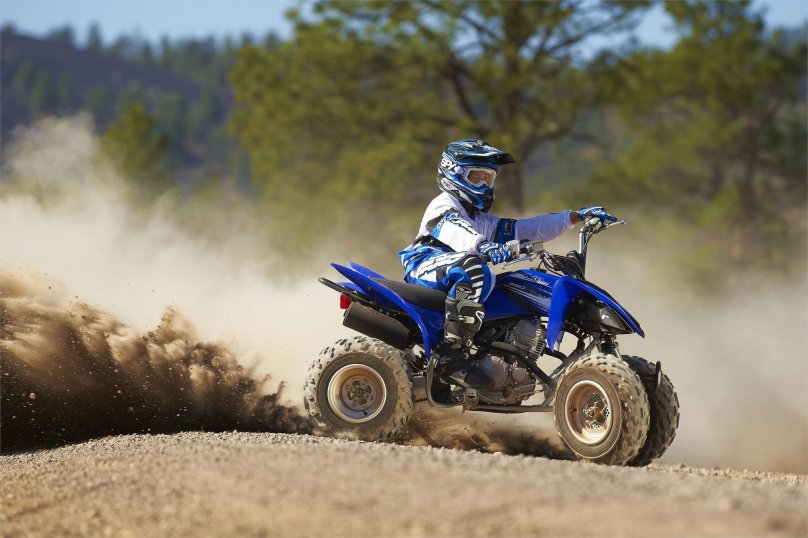 Yamaha YFM 250 Raptor