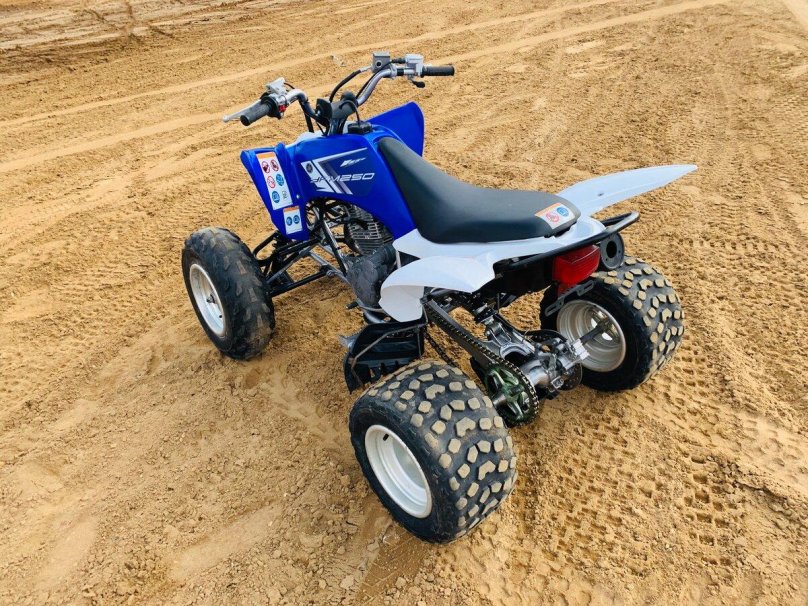 Yamaha YFM 250 Raptor