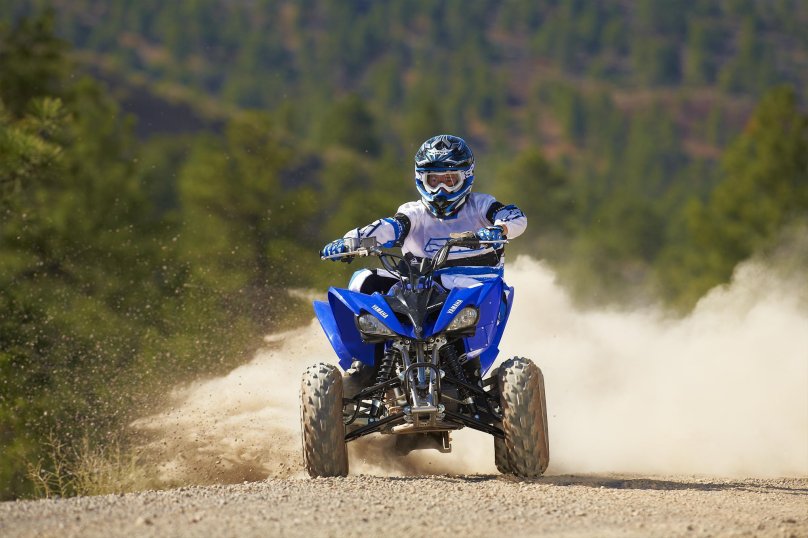 Yamaha Raptor 250