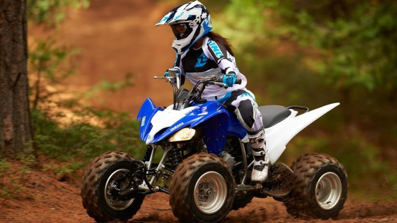 Квадроцикл Раптор 250