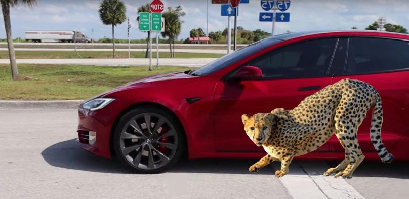 Автомобиль гепард