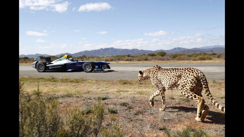 Гепард на 28 колесах