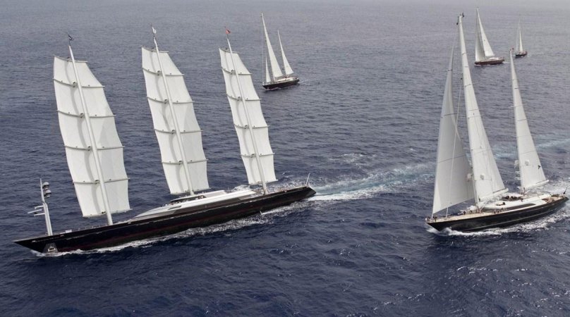 Парусник Мальтис Фалькон