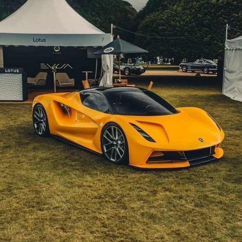 Лотус эвиджиа