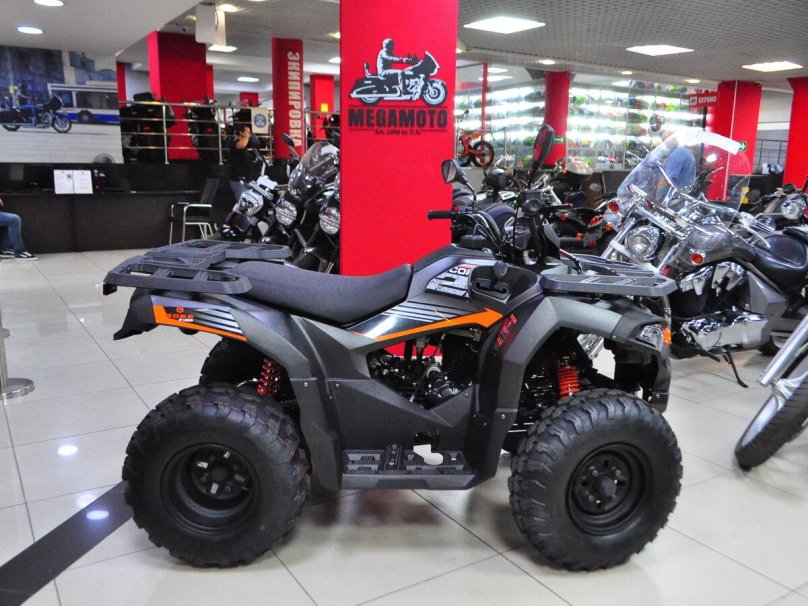 Купить с доставкой в Псков Loncin Overland 200