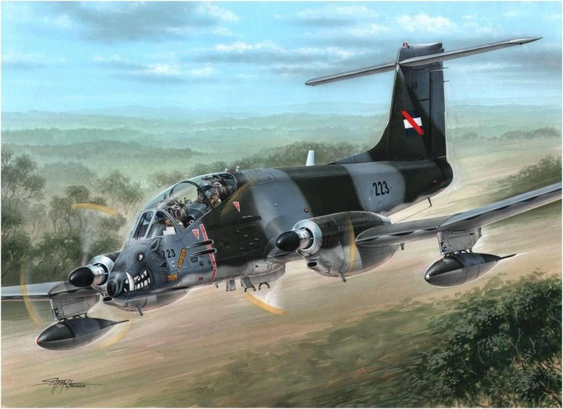 Штурмовик IA-58 Pucara