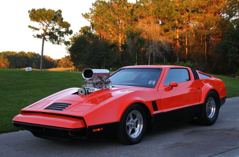 Bricklin 1974
