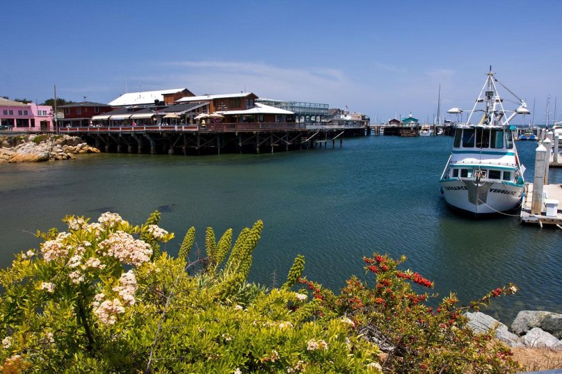 Монтерей Санкт-Петербург