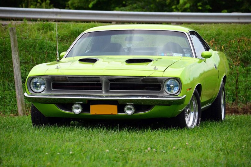 Барракуда x